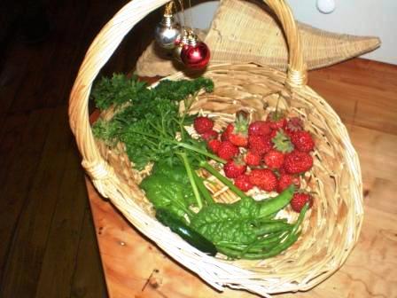 December vegetables from the Lodge garden