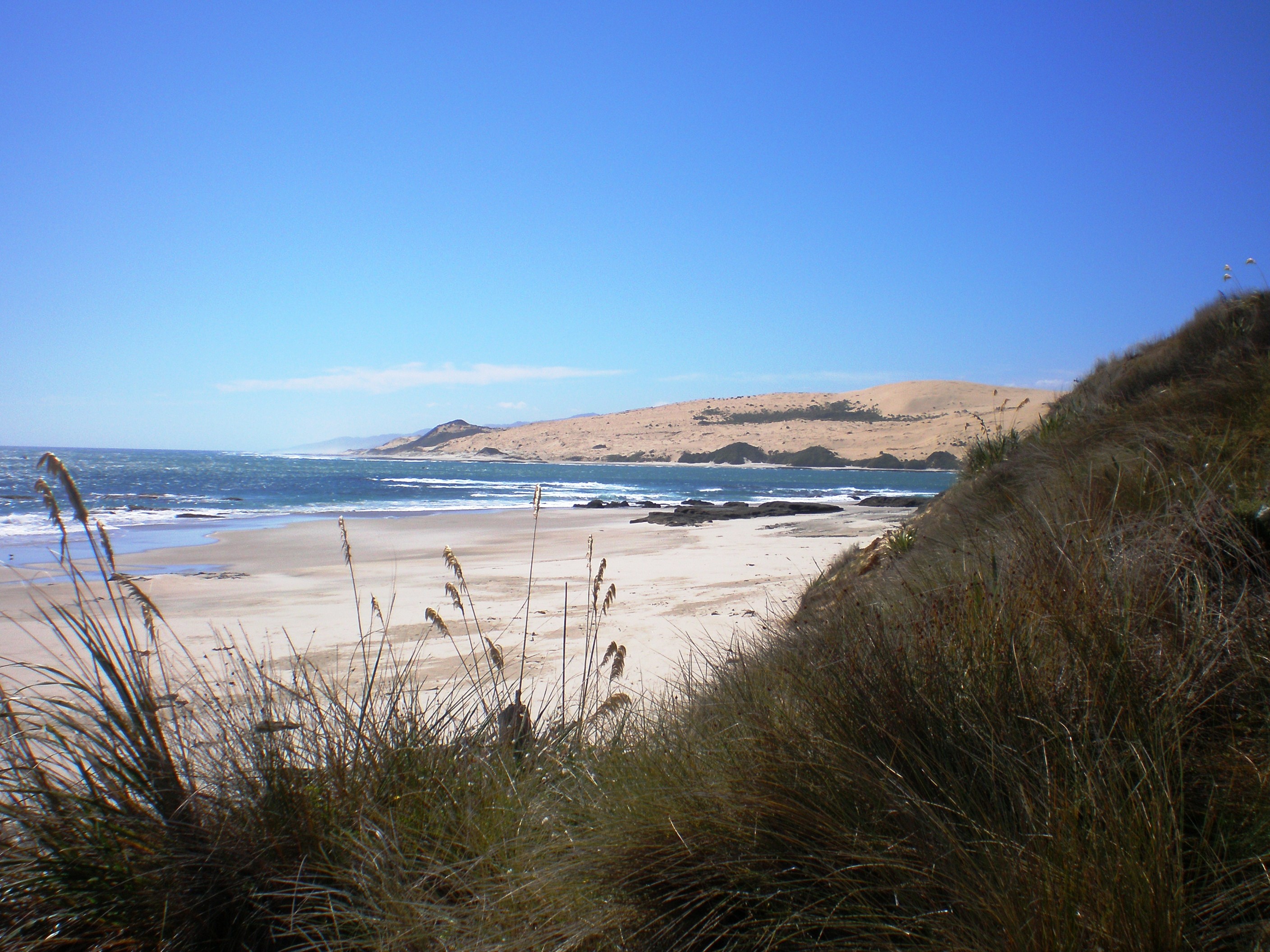 Coastal Walkaway at south head Hokianga Harbour