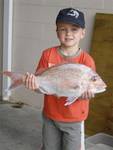 Young snapper fisherman on Hokianga Harbour