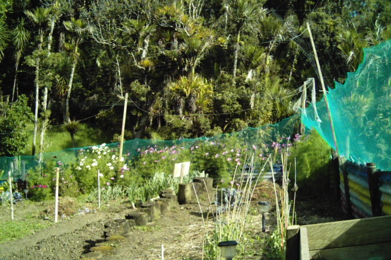 Gardens at Waiotemarama Falls Lodge, Northand, New Zealand