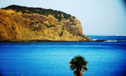 South head Hokianga Harbour
