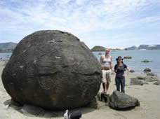 Koutu Boulders concretions along Hokianga Harbour