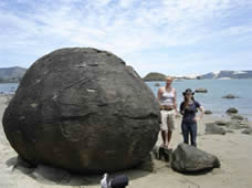 Koutu Boulder concretions on the Hokianga Harbour at Koutu Point