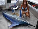 Marlin on deck off Hokianga Harbour