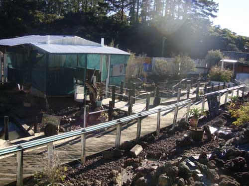 Ngawha mineral springs Kaikohe