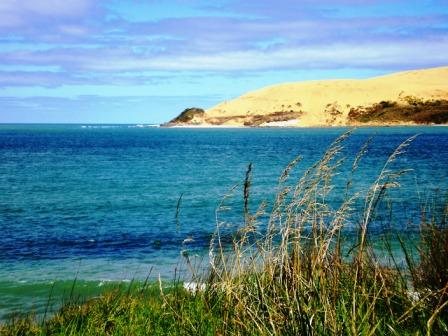 North Head Hokianga Harbour