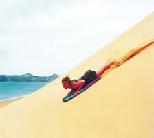 Sandboarding opposite Opononi on Hokianga Harbour