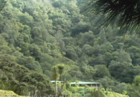 Waiotemarama Falls Lodge