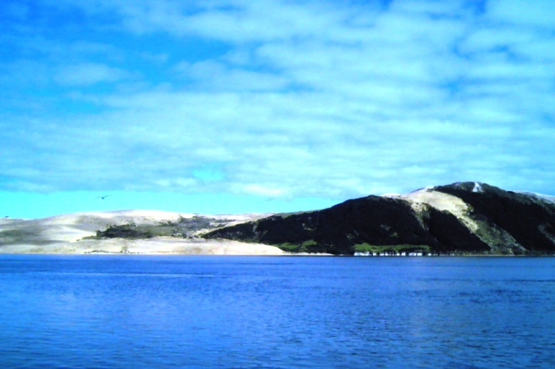 Hokianga Harbour and sandhills
