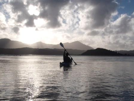 Kayaking, stargazing, bonecarving and other Hokianga activities
